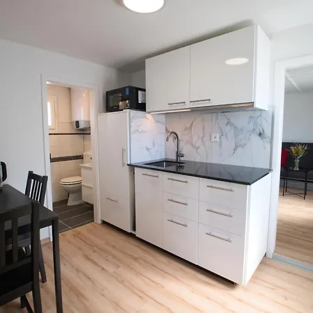 Lake Getaway Apartment With Private Entrance, Right On The Lake Constance Cycle Path, Barbecue Area, Free Wifi, Netflix And Free Bikes Salmsach Esterno foto