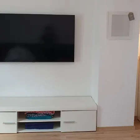 Lake Getaway Apartment With Private Entrance, Right On The Lake Constance Cycle Path, Barbecue Area, Free Wifi, Netflix And Free Bikes Salmsach Esterno foto
