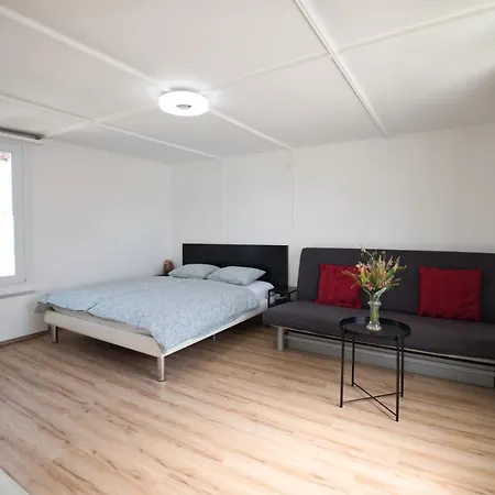 Lake Getaway Apartment With Private Entrance, Right On The Lake Constance Cycle Path, Barbecue Area, Free Wifi, Netflix And Free Bikes Salmsach Esterno foto