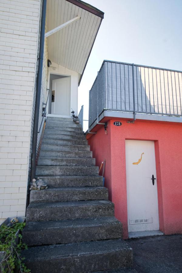 Getaway With Private Entrance, Right On The Constance Cycle Path, Barbecue Area, Free Wifi, Netflix And Free Bikes * Salmsach